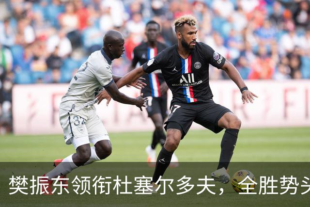 樊振东领衔杜塞尔多夫，全胜势头继续
